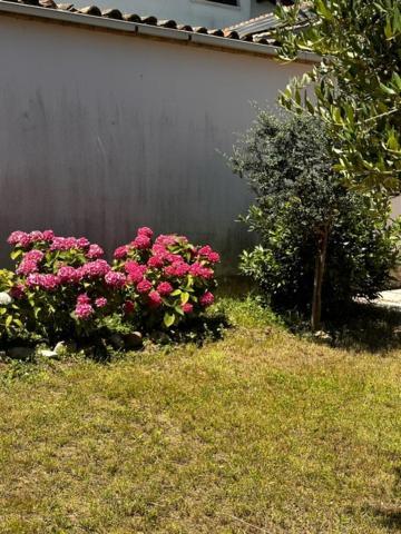 Casa Indipendente Cascina Cremasca With Pool *