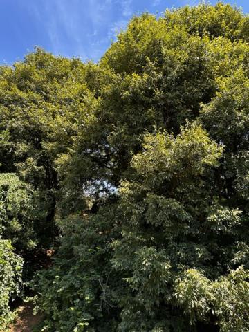 Casa Indipendente Cascina Cremasca With Pool Holiday home *